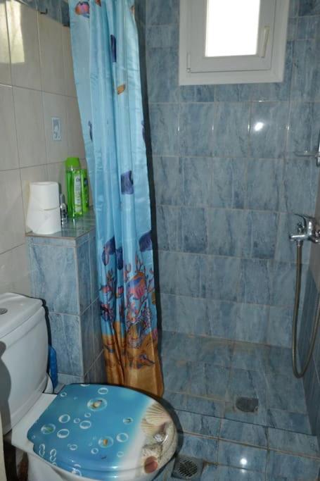 Апартаменты Vasiliki'S Cosy House Неа-Миханиона Экстерьер фото